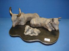 Three ''Massai Collection'' by Stacey Bayne lying down Cattle figures plus a shaped plinth,