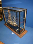 A model of frigate ''Lively'', in glass case, 16" x 17 1/2" x 6".