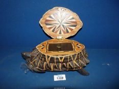 A trinket box made from a complete Tortoiseshell with wooden limbs and head,