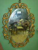 An Atsonia wall mirror in oval shape with bevelled edge and ornate gilt surround,