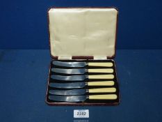 A cased set of six Sheffield stainless steel butter knives.