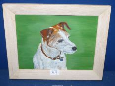 A small Oil on canvas of a white and tan Jack Russell, no visible signature, 14 1/2'' x 11 1/2''.