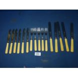 A set of Rogers of Sheffield bone handled fish knives and forks with sterling silver collars and