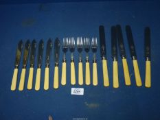 A set of Rogers of Sheffield bone handled fish knives and forks with sterling silver collars and