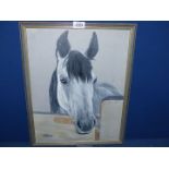 A framed study of a Grey Horse leaning over the stable door, signed lower left J.