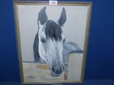 A framed study of a Grey Horse leaning over the stable door, signed lower left J.