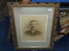 A Victorian photograph of Gentleman in ornate pierced gilt frame, rebate 18 3/4" x 24 1/4".