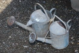 Two galvanised watering cans with roses.