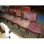 A set of five Mahogany framed Dining CHairs upholstered in weathered finish burgundy hid and having