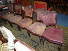 A set of five Mahogany framed Dining CHairs upholstered in weathered finish burgundy hid and having