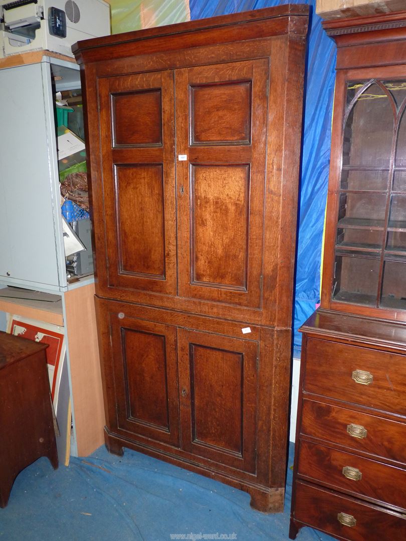 A full height Georgian Oak Corner Cupboard having contrasting beading to the panels and having two