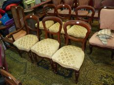 Six 19th c balloon back Dining Chairs having turned and fluted front legs,