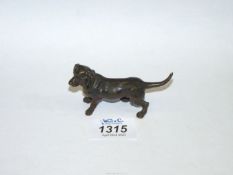 An early 20th century Austrian miniature Bronze figure of a Dachshund, traces of cold painting.