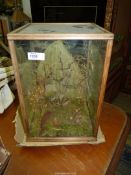A glass Display case containing a taxidermy of a small bird but with branches for more birds.