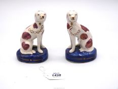 A pair of small Staffordshire dogs on cushions, 5 1/2'' tall.