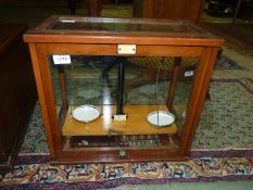 A Scientific beam balance Scales with weights in glazed display case by F.E. Becker & Co.