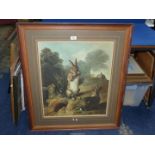 A large framed and mounted Print titled 'Rabbits' by Francios Desportes. 29 3/4" x 34 1/4".