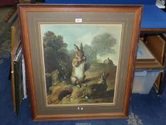 A large framed and mounted Print titled 'Rabbits' by Francios Desportes. 29 3/4" x 34 1/4".