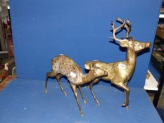A brass figures of a Stag and Doe.