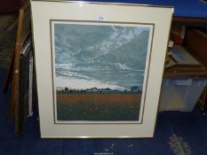 A large framed and mounted Limited Edition Print (36/250) titled 'Sky April',