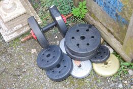 A quantity of fitness weights.