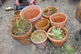 A quantity of terracotta pots, various sizes.