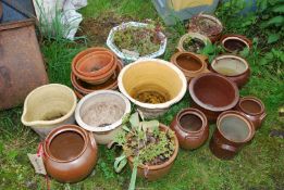 Miscellaneous flower pots.
