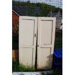 A pair of painted cupboard doors, 17'' x 57''.