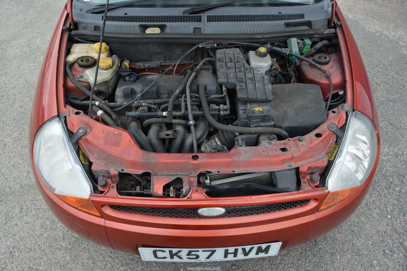 A Ford KA Zetec Climate 1299cc petrol-engined three door hatchback motor Car finished in red, - Image 13 of 14