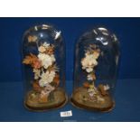 Two glass domes and contents, 11 1/2" tall overall.