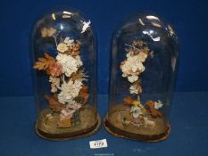 Two glass domes and contents, 11 1/2" tall overall.