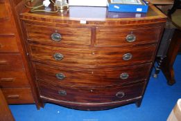 A Mahogany cross-banded bow fronted Chest of drawers, 42" wide x 21" deep x 40'' high.