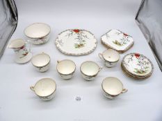 A Salisbury 'Tree' pattern Teaset comprising of five tea plates, six teacups and saucers,