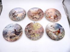 Six Wedgwood 'Compton & Woodhouse' display plates from Game Birds of Britain collection including;