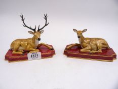 A pair of porcelain Halcyon Days Red Deer (stag and hind). 6" long x 5" tall.