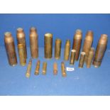 A good quantity of spent shell casings.