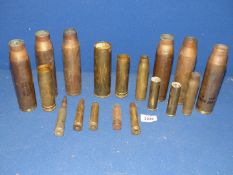 A good quantity of spent shell casings.