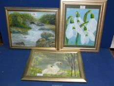 Two framed Oil paintings signed M.