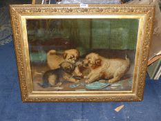 An ornate framed over varnished Print depicting three puppies playing, signed lower right Horatio H.
