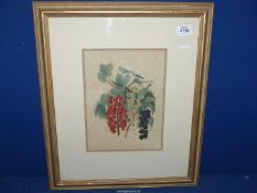 A Wright's fruit growers guide Chromolithograph depicting currants, 16¾" x 20".