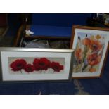 A large framed Print titled 'Papaver Rhoeus' by Shirley Trevena,