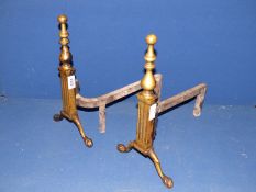A pair of brass fire dogs standing on ball and claw feet to front.