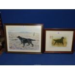 A framed and mounted print depicting a Gordon Setter by G. Mass Arnest along with a Mandy E.