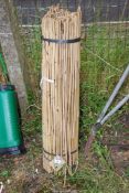 A quantity of 36'' long bamboo canes.
