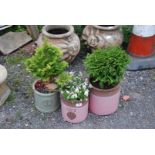 Three glazed pots, planted.