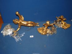 Three gilt cherub light fittings with glass droplets.