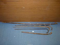 Five walking sticks including two with silver bands, one thumbstick etc.