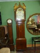 A highly decorative Oak and other woods cased Longcase Clock having marquetry depicting a shell and