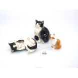 A Royal Worcester porcelain short haired cat by F, Doughty,
