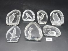 A quantity of Wedgwood paperweights of birds including Swan, Owl , Woodpecker, Seagull etc.
